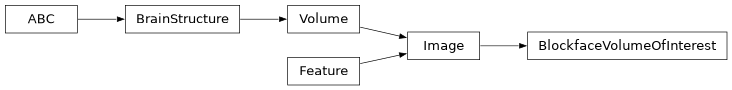 Inheritance diagram of siibra.features.image.BlockfaceVolumeOfInterest