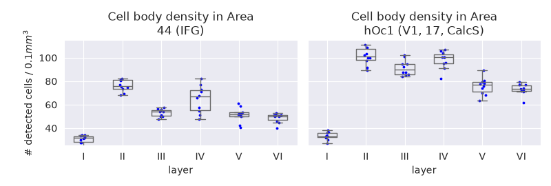 Cell body density in Area 44 (IFG), Cell body density in Area hOc1 (V1, 17, CalcS)