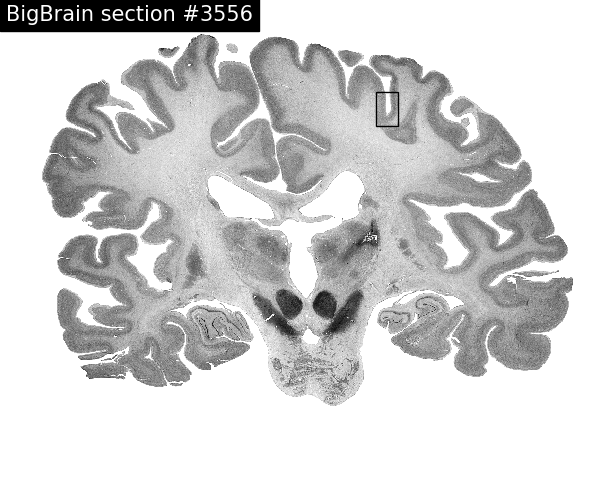 2025 paper fig5