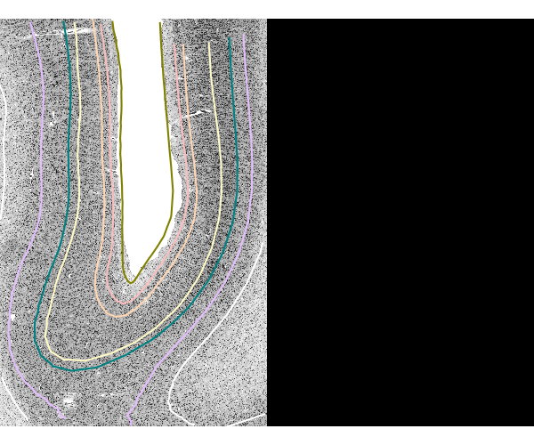 2025 paper fig5
