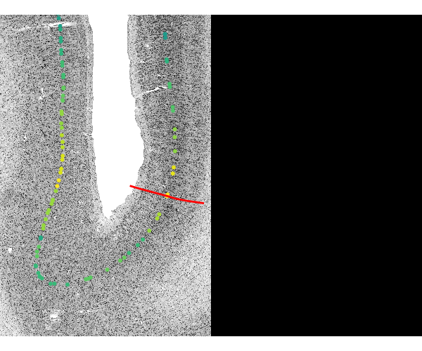 2025 paper fig5