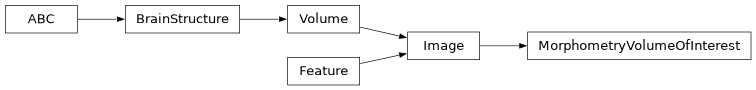 Inheritance diagram of siibra.features.image.MorphometryVolumeOfInterest