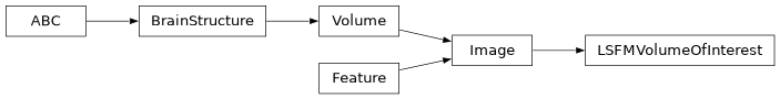 Inheritance diagram of siibra.features.image.LSFMVolumeOfInterest