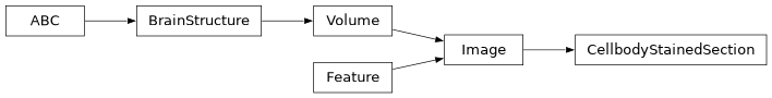 Inheritance diagram of siibra.features.image.sections.CellbodyStainedSection