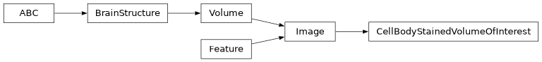 Inheritance diagram of siibra.features.image.volume_of_interest.CellBodyStainedVolumeOfInterest