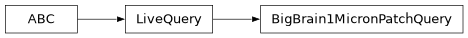 Inheritance diagram of siibra.livequeries.bigbrain.BigBrain1MicronPatchQuery