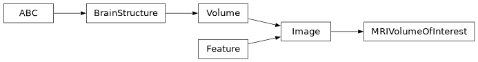 Inheritance diagram of siibra.features.image.MRIVolumeOfInterest