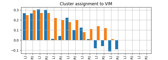 Cluster assignment to VIM