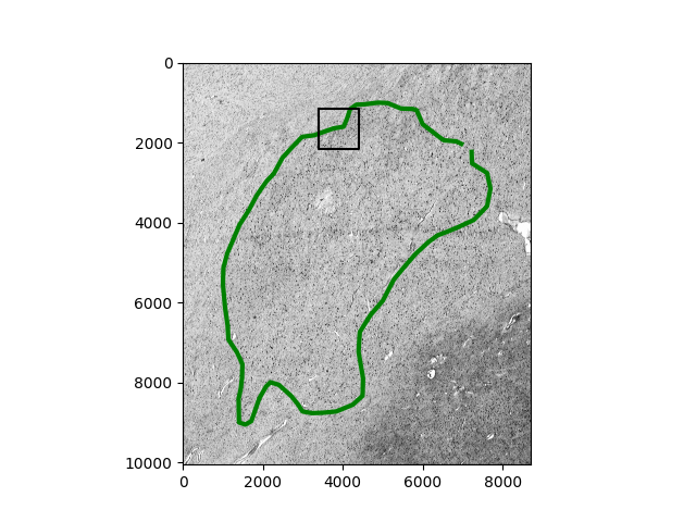 2025 paper fig6