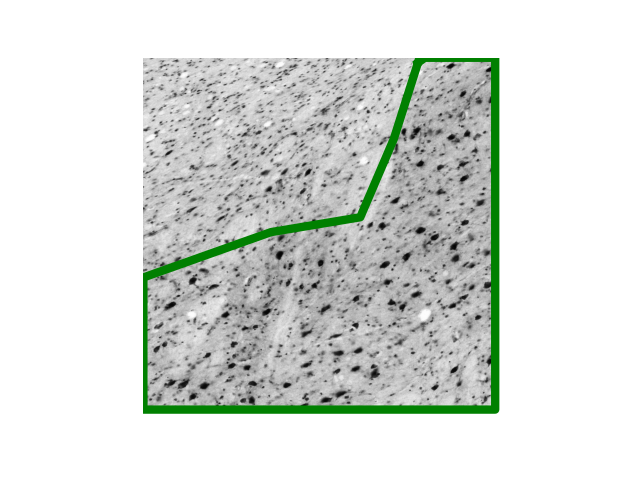2025 paper fig6