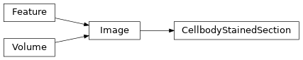 Inheritance diagram of siibra.features.image.CellbodyStainedSection
