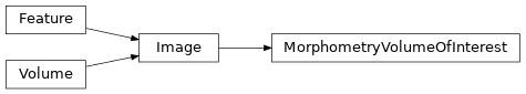 Inheritance diagram of siibra.features.image.volume_of_interest.MorphometryVolumeOfInterest