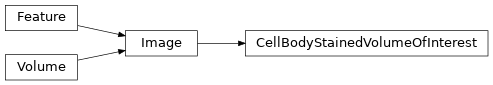 Inheritance diagram of siibra.features.image.volume_of_interest.CellBodyStainedVolumeOfInterest