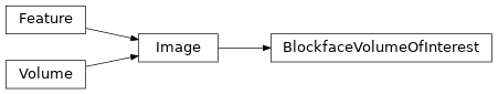 Inheritance diagram of siibra.features.image.volume_of_interest.BlockfaceVolumeOfInterest