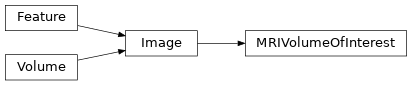 Inheritance diagram of siibra.features.image.MRIVolumeOfInterest
