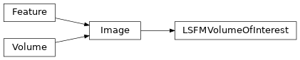 Inheritance diagram of siibra.features.image.LSFMVolumeOfInterest