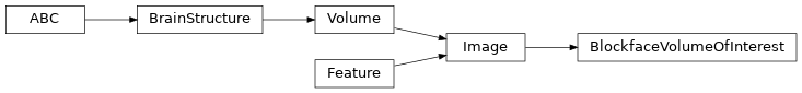 Inheritance diagram of siibra.features.image.volume_of_interest.BlockfaceVolumeOfInterest