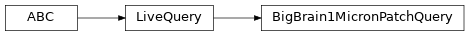 Inheritance diagram of siibra.livequeries.bigbrain.BigBrain1MicronPatchQuery