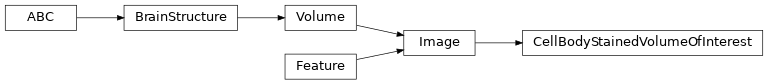 Inheritance diagram of siibra.features.image.CellBodyStainedVolumeOfInterest