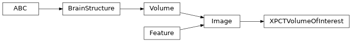 Inheritance diagram of siibra.features.image.XPCTVolumeOfInterest