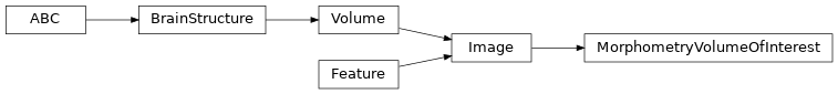 Inheritance diagram of siibra.features.image.volume_of_interest.MorphometryVolumeOfInterest