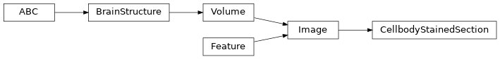 Inheritance diagram of siibra.features.image.CellbodyStainedSection