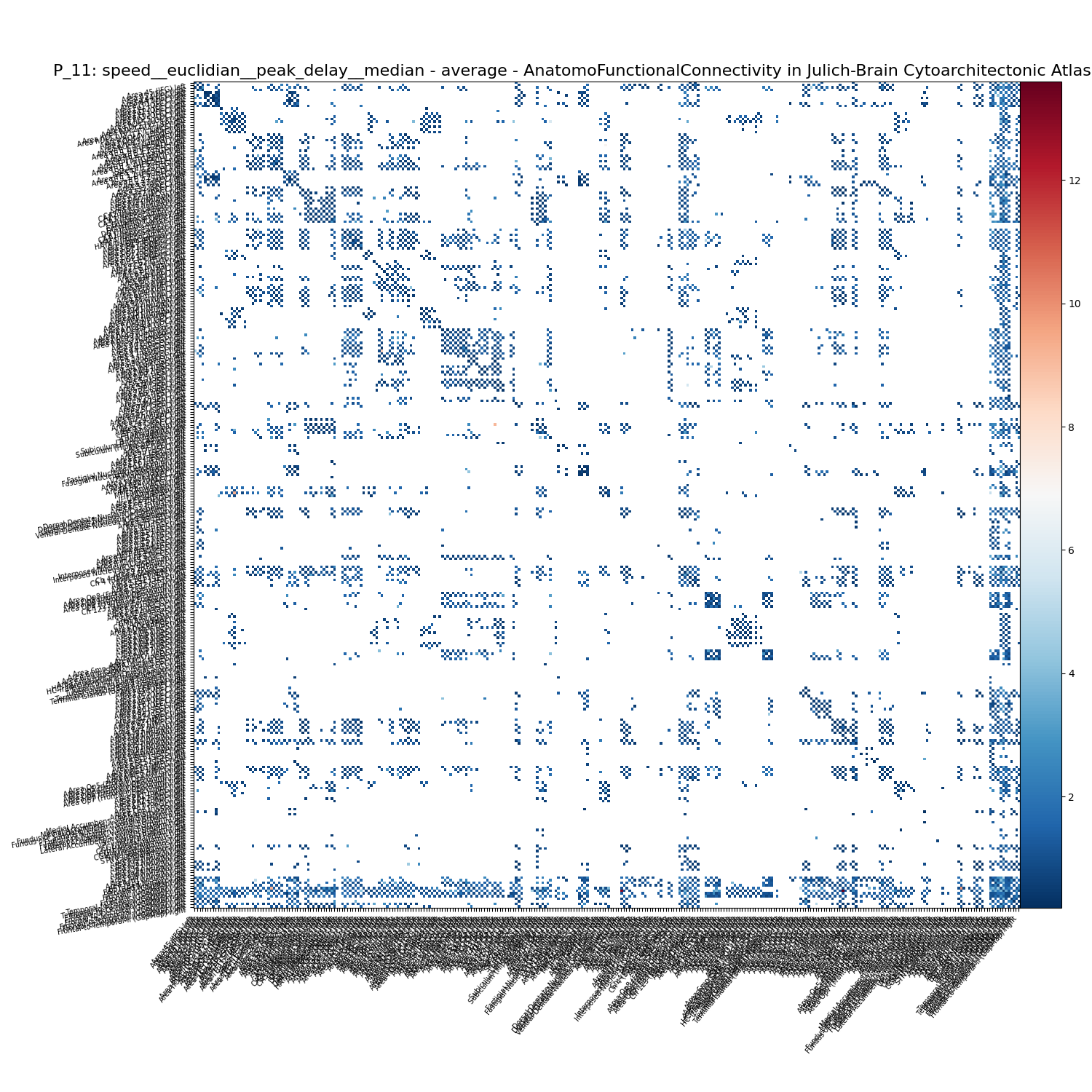 P_11: speed__euclidian__peak_delay__median - average - AnatomoFunctionalConnectivity in Julich-Brain Cytoarchitectonic Atlas (v3.0.3)