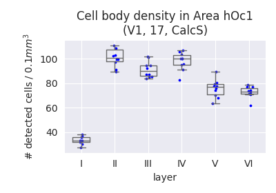 Cell body density in Area hOc1 (V1, 17, CalcS)