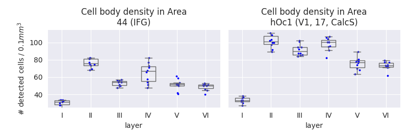 Cell body density in Area 44 (IFG), Cell body density in Area hOc1 (V1, 17, CalcS)