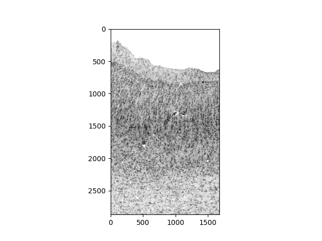 2025 paper fig5