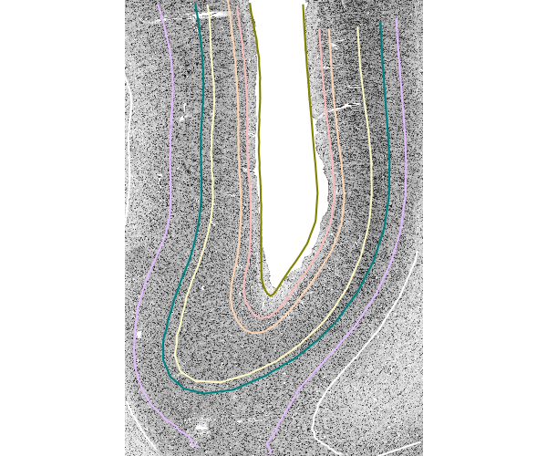 2025 paper fig5