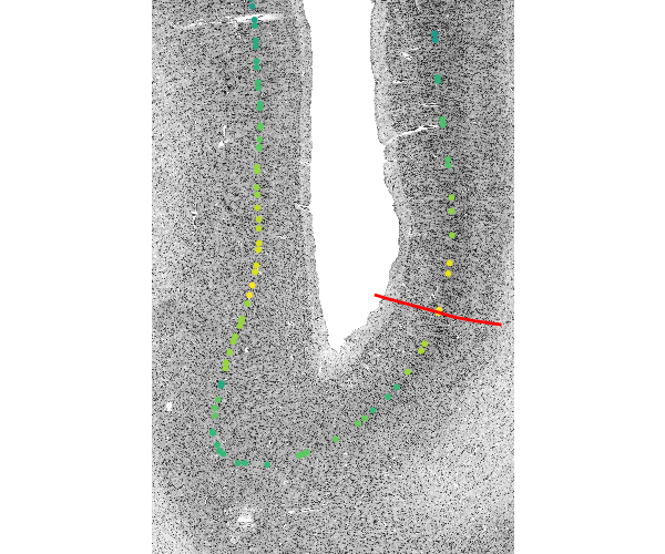 2025 paper fig5